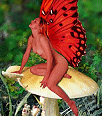 Redhead Fairies