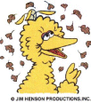 Sesame Street