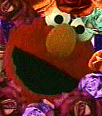 Sesame Street