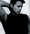 Joey